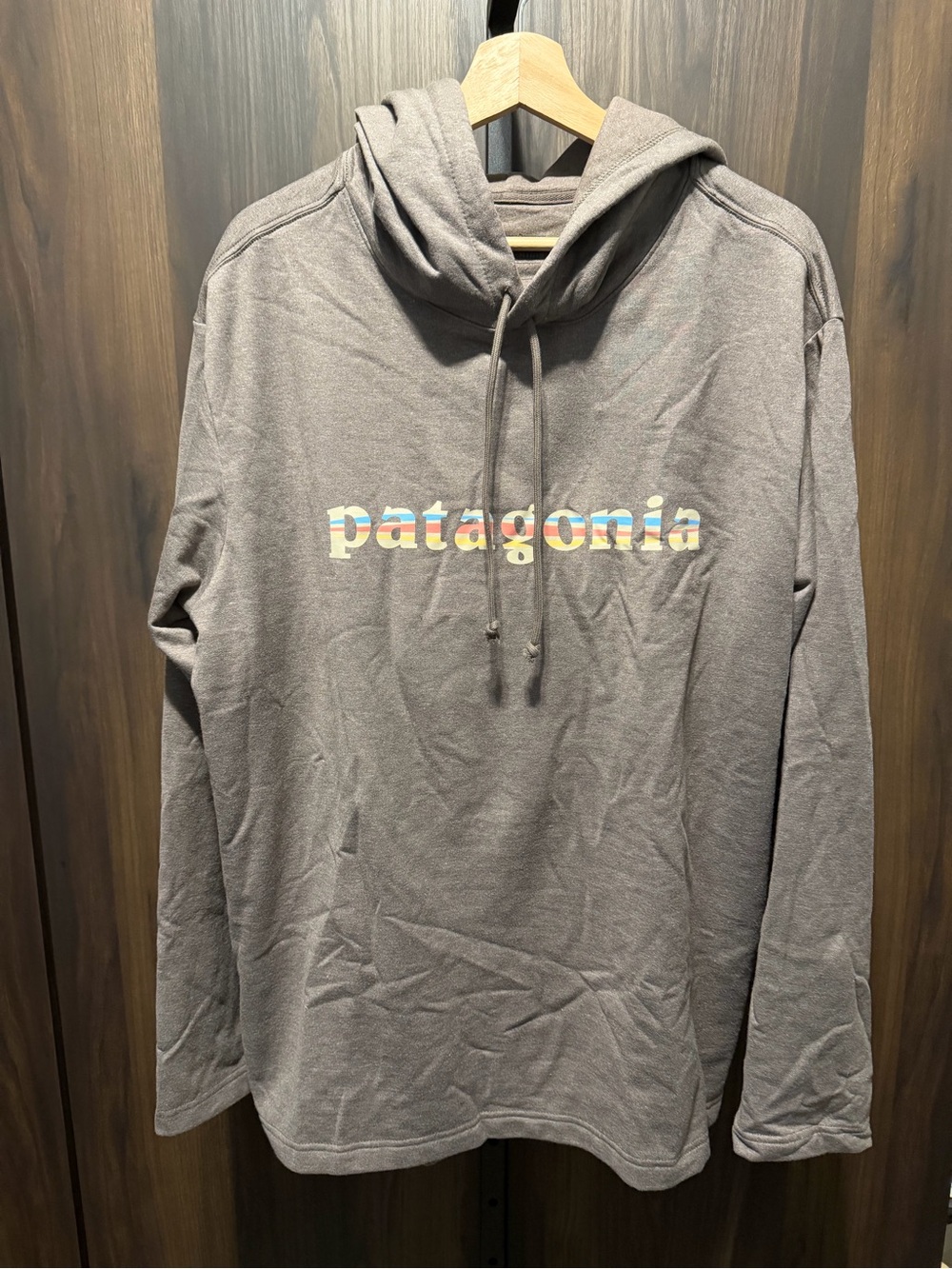 Patagonia Lightweight '73 Text Logo Wildrise Hoodie Marlow Brown Size Large